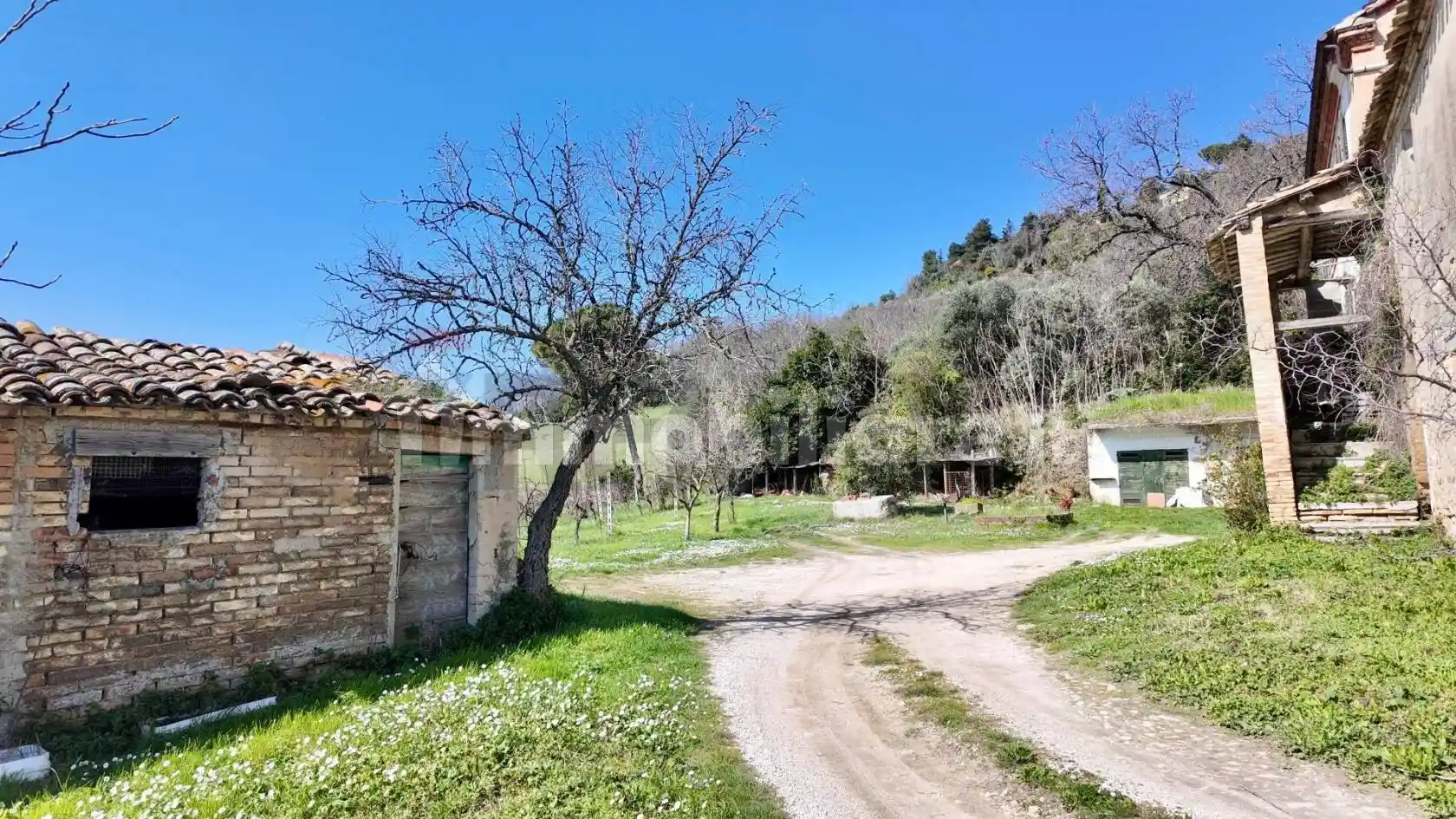 Rustico - Casale in vendita a Ancona