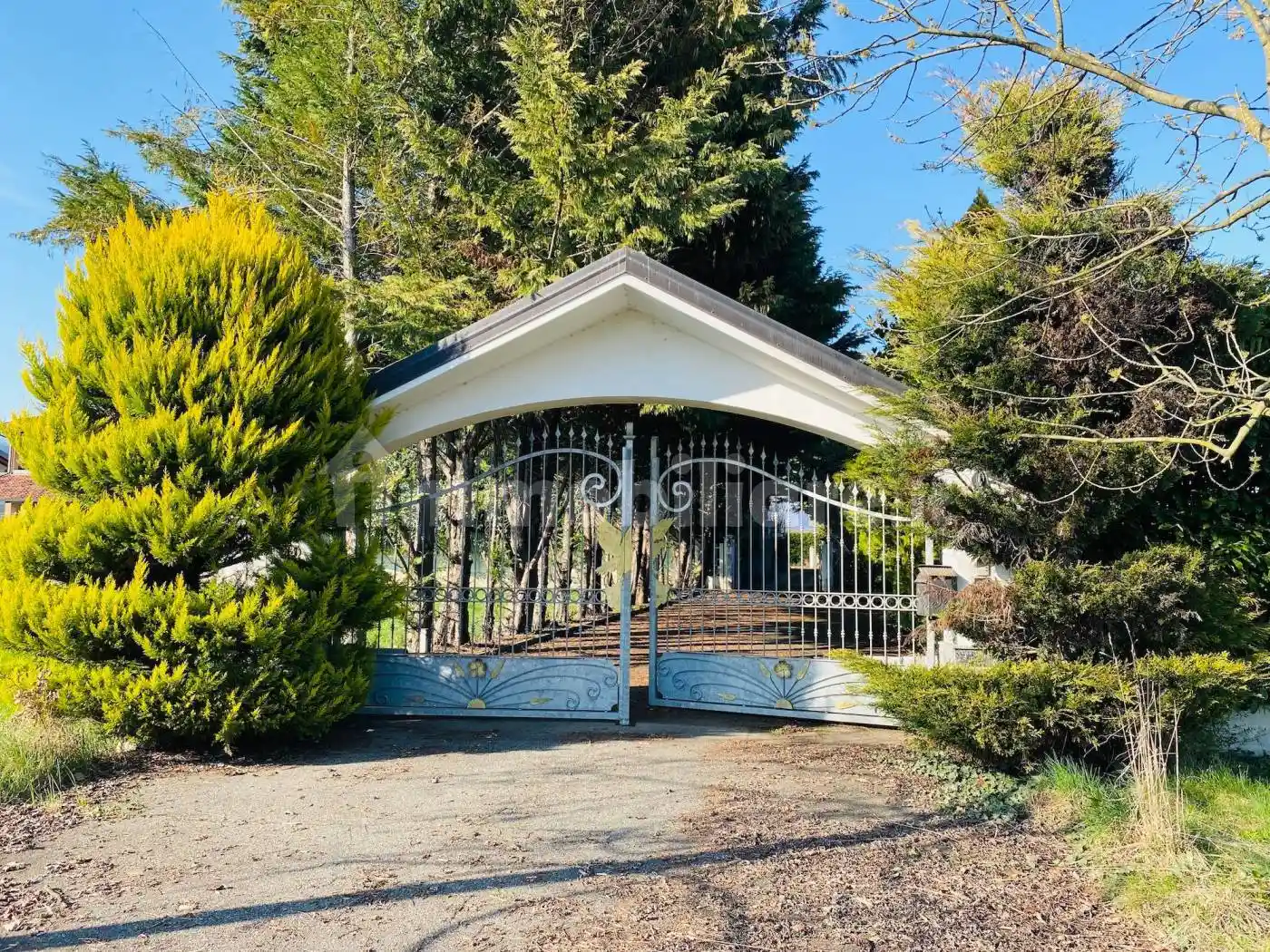 Villa in vendita a Busano