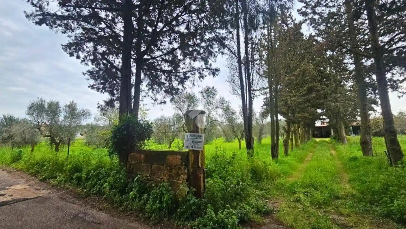 Rustico - Casale in vendita a Nardò