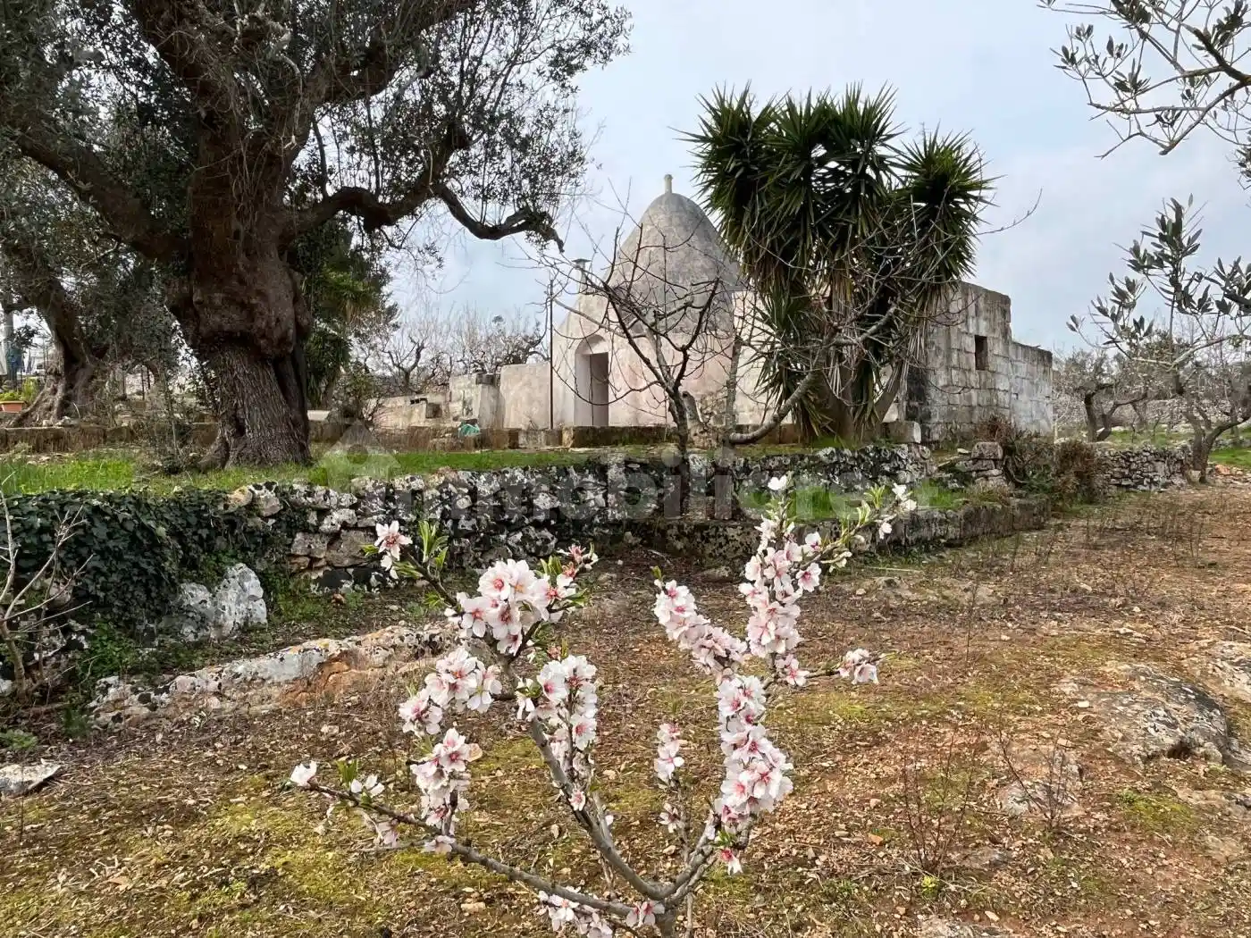 Rustico - Casale in vendita a Ceglie Messapica