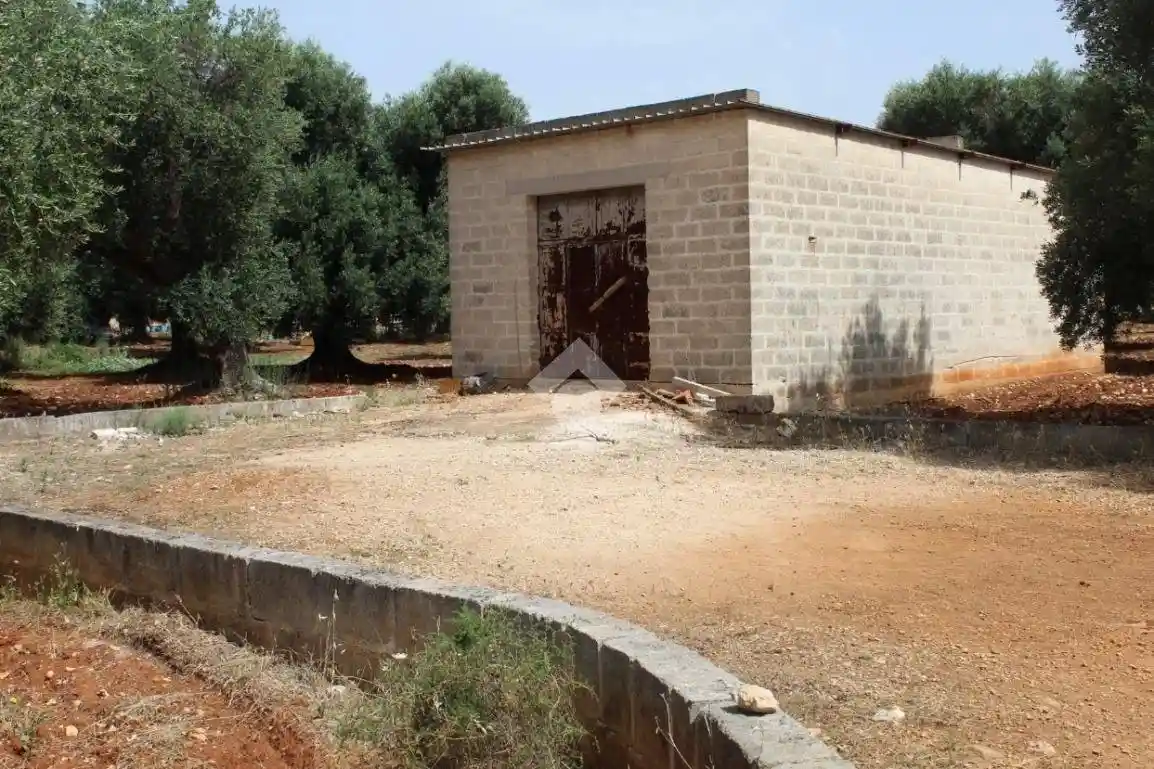 Rustico - Casale in vendita a Carovigno