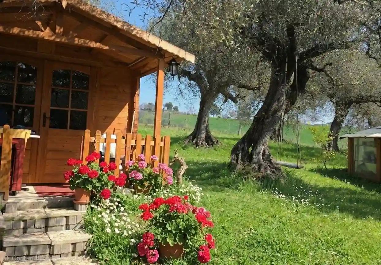 Rustico - Casale - foto 4