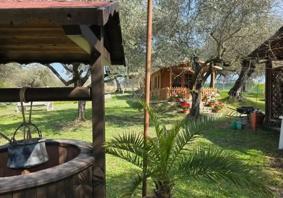 Rustico - Casale - foto 5