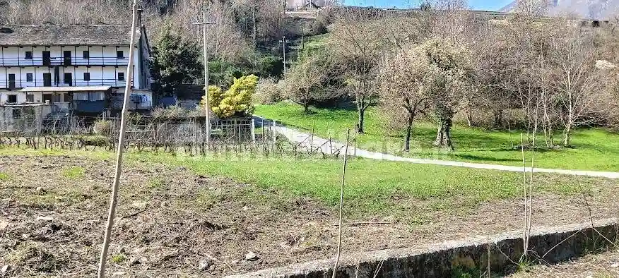 Palazzo - Edificio - foto 4