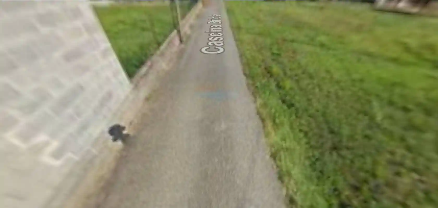 Appartamento in vendita a Vische