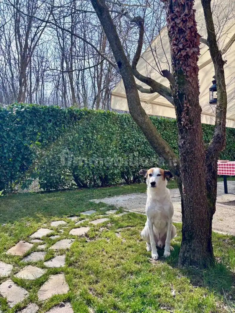 Villetta a schiera in vendita a Cadorago