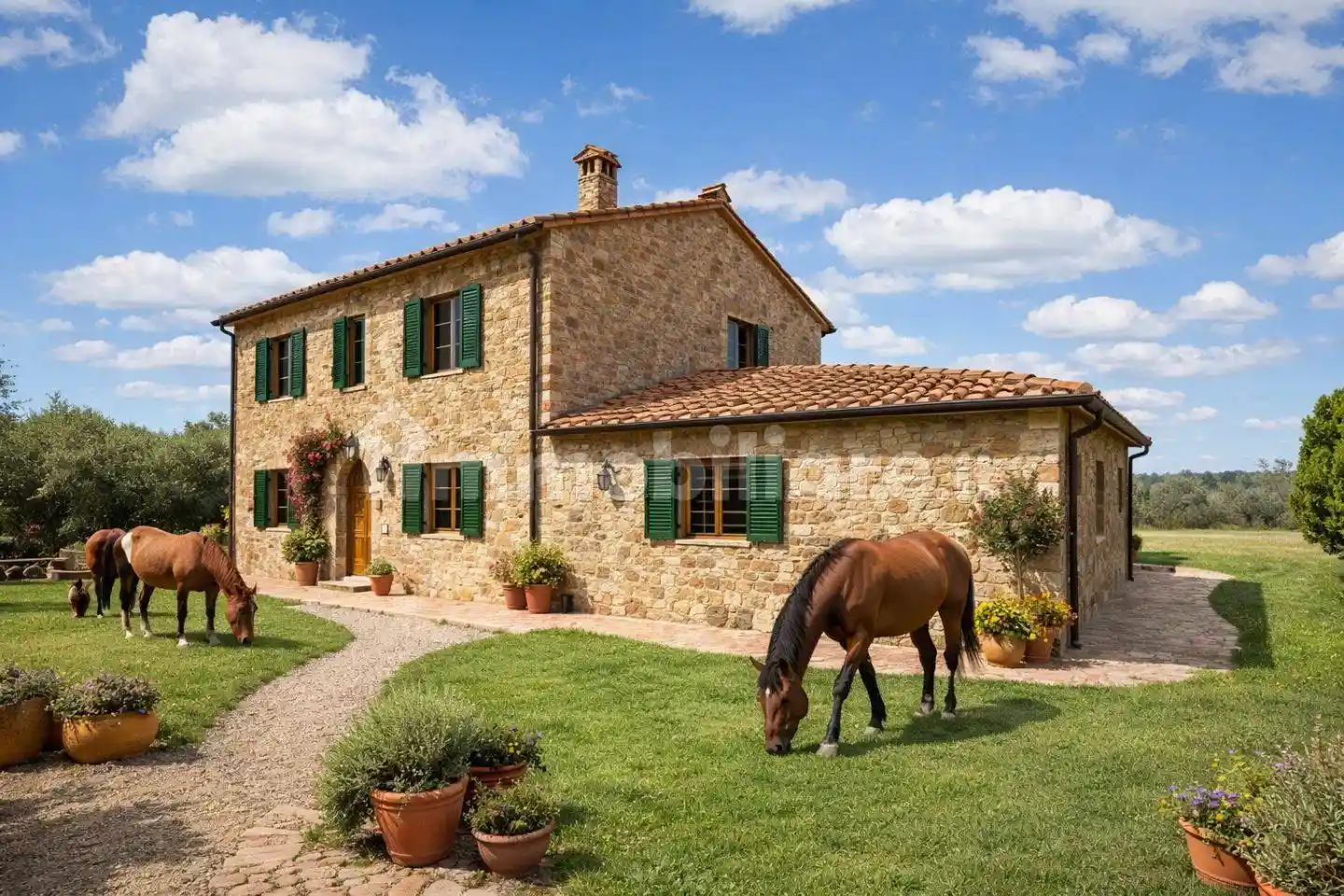 Rustico - Casale in vendita a Casciana Terme Lari