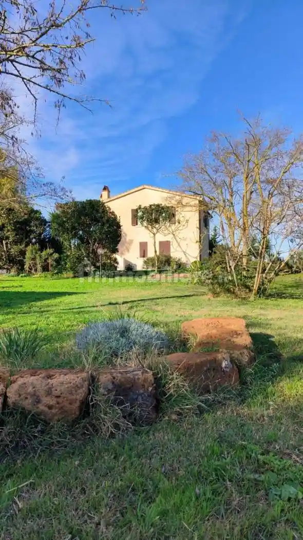 Appartamento in affitto a Capalbio