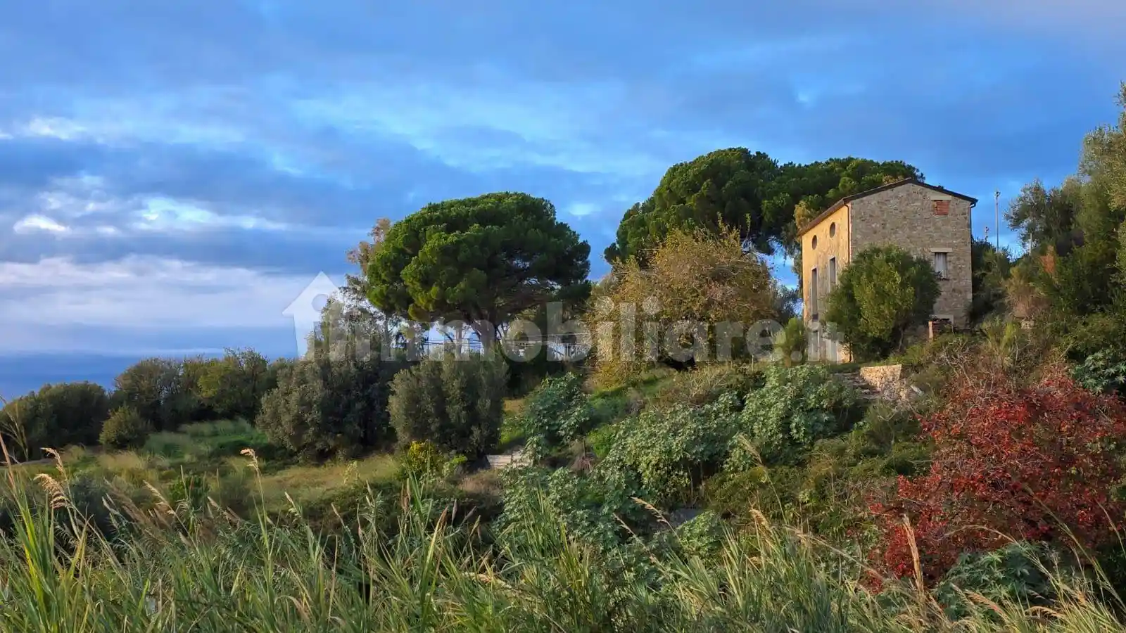 Villa in vendita a Pisciotta