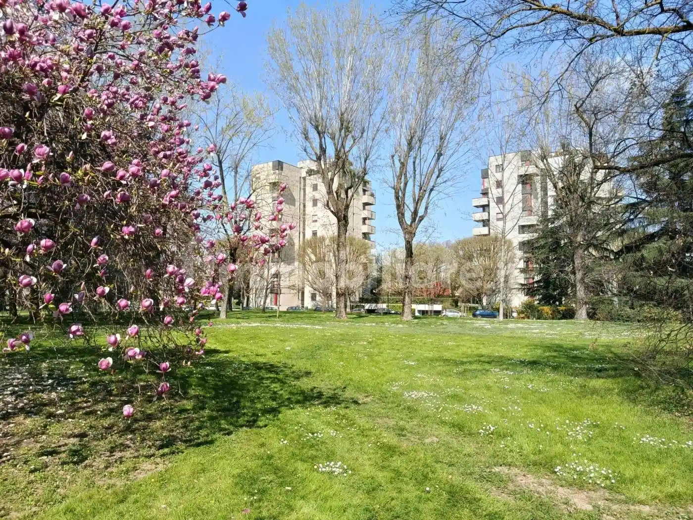 Appartamento in affitto a Segrate