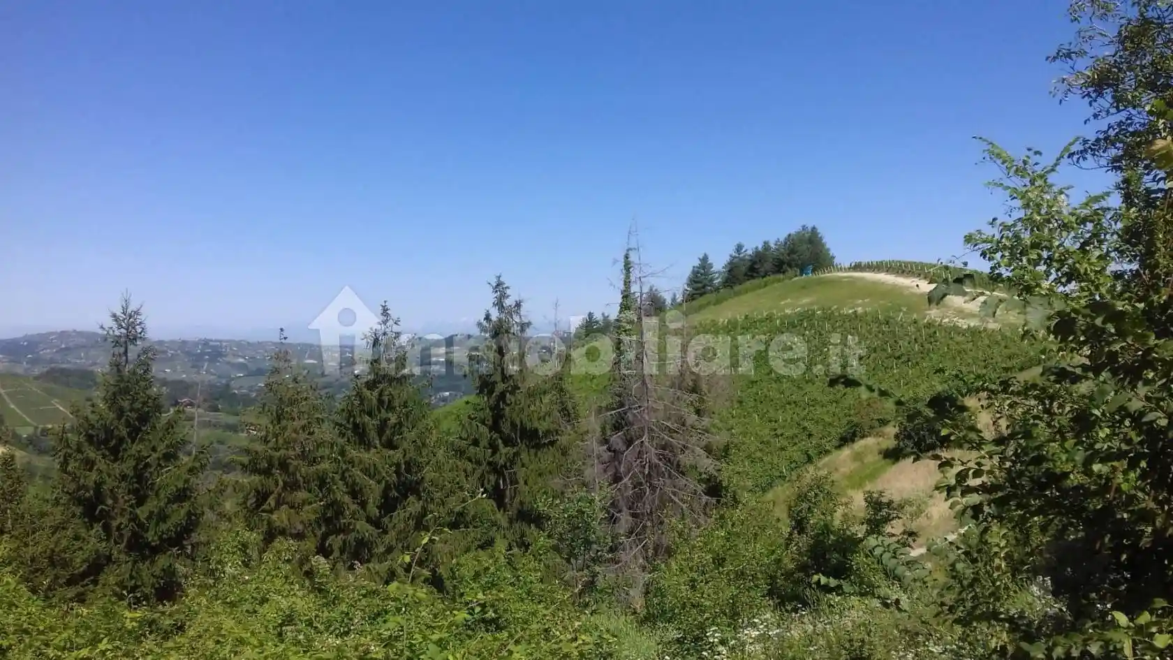 Rustico - Casale in vendita a Cassinasco