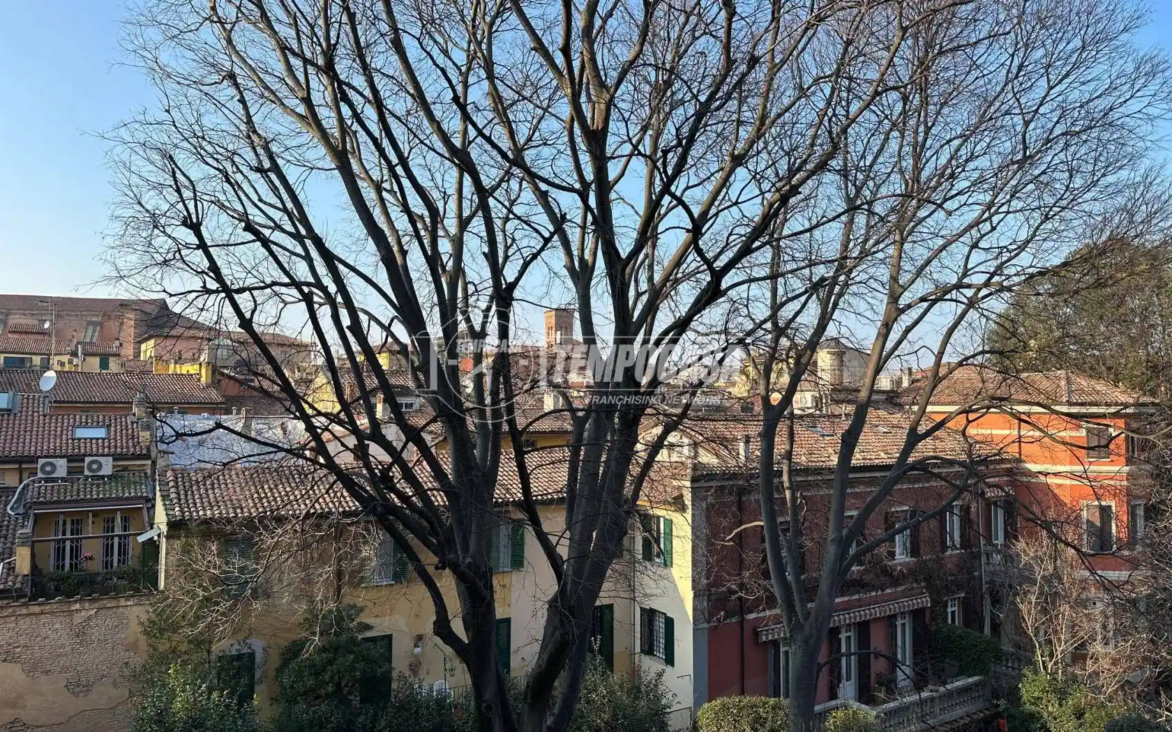 Appartamento in affitto a Bologna