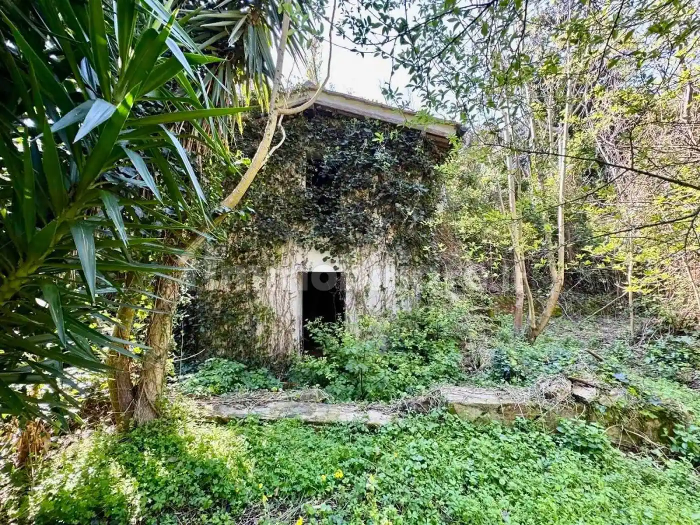 Villa in vendita a Rio