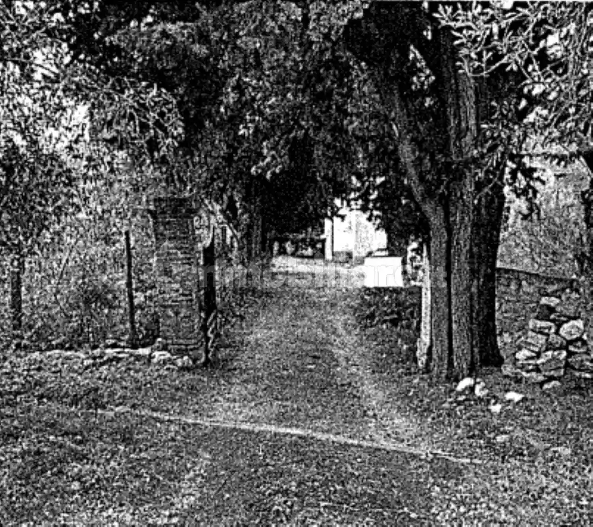 Villa in vendita a Montaione