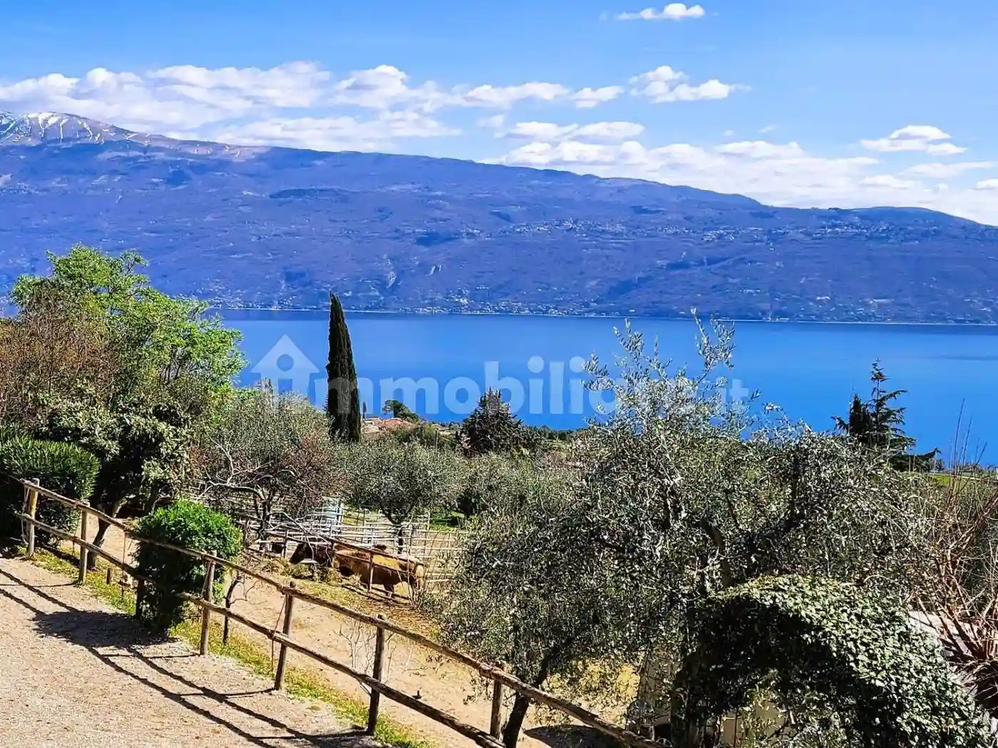 Palazzo - Edificio - foto 5