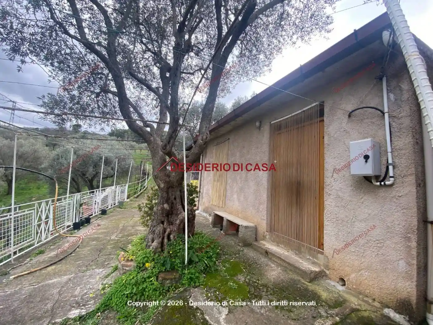 Casa indipendente in vendita a Militello Rosmarino