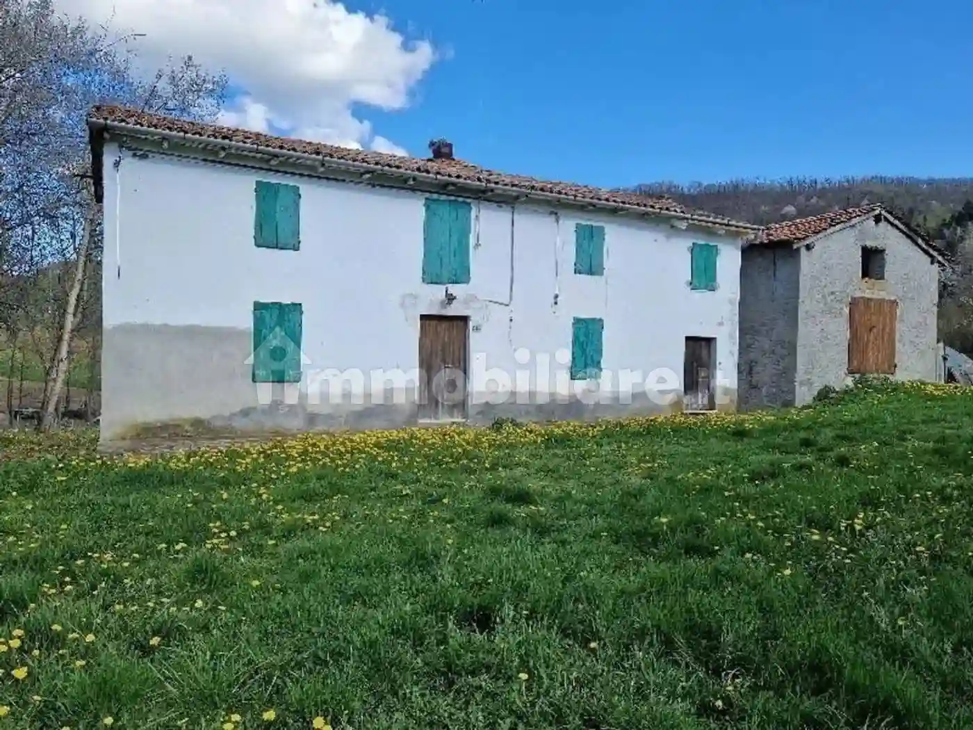 Rustico - Casale - foto 3