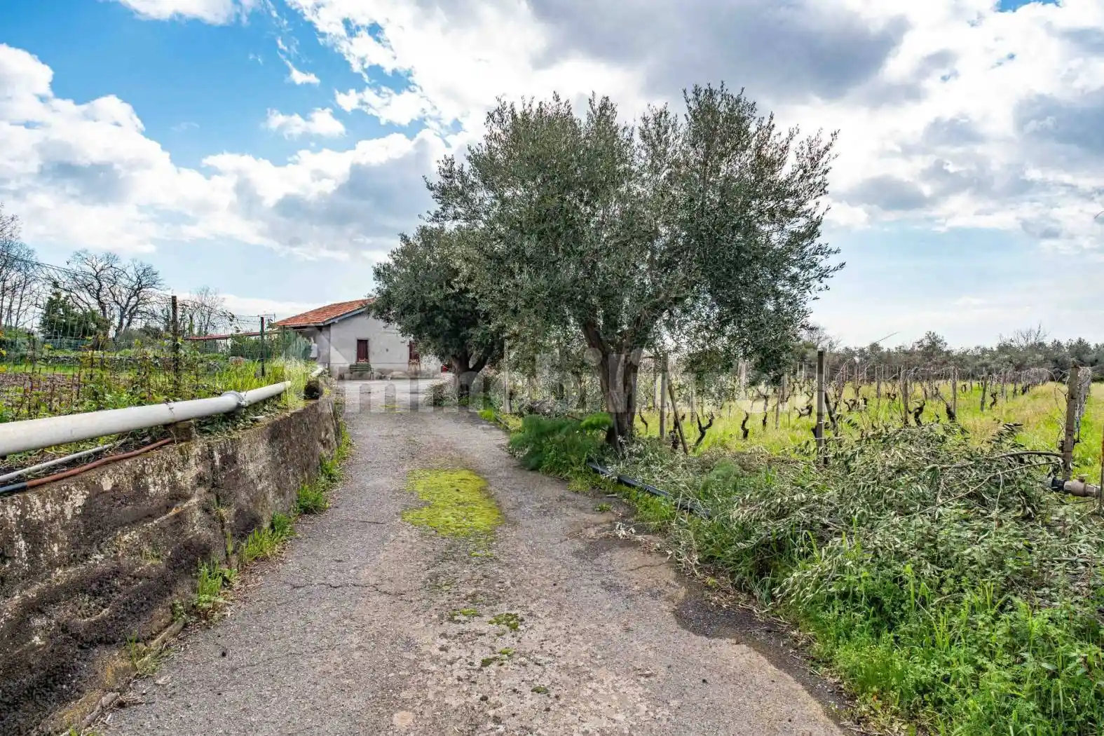Casa indipendente in vendita a Piedimonte Etneo