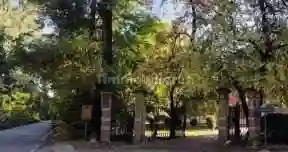 Palazzo - Stabile - foto 2