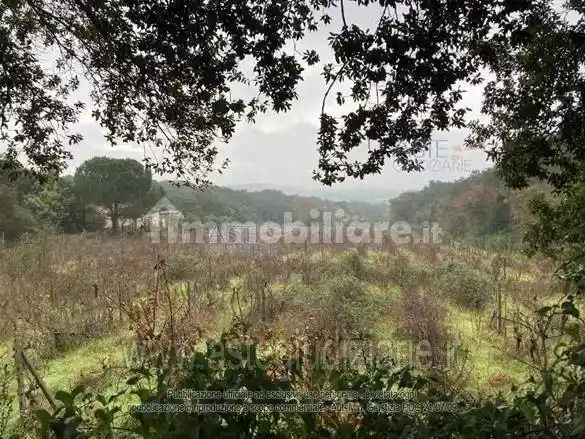 Rustico - Casale in vendita a Tempio Pausania