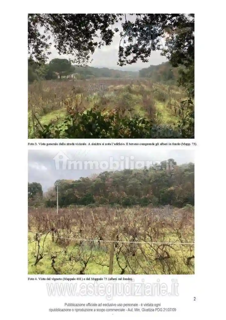 Rustico - Casale - foto 3