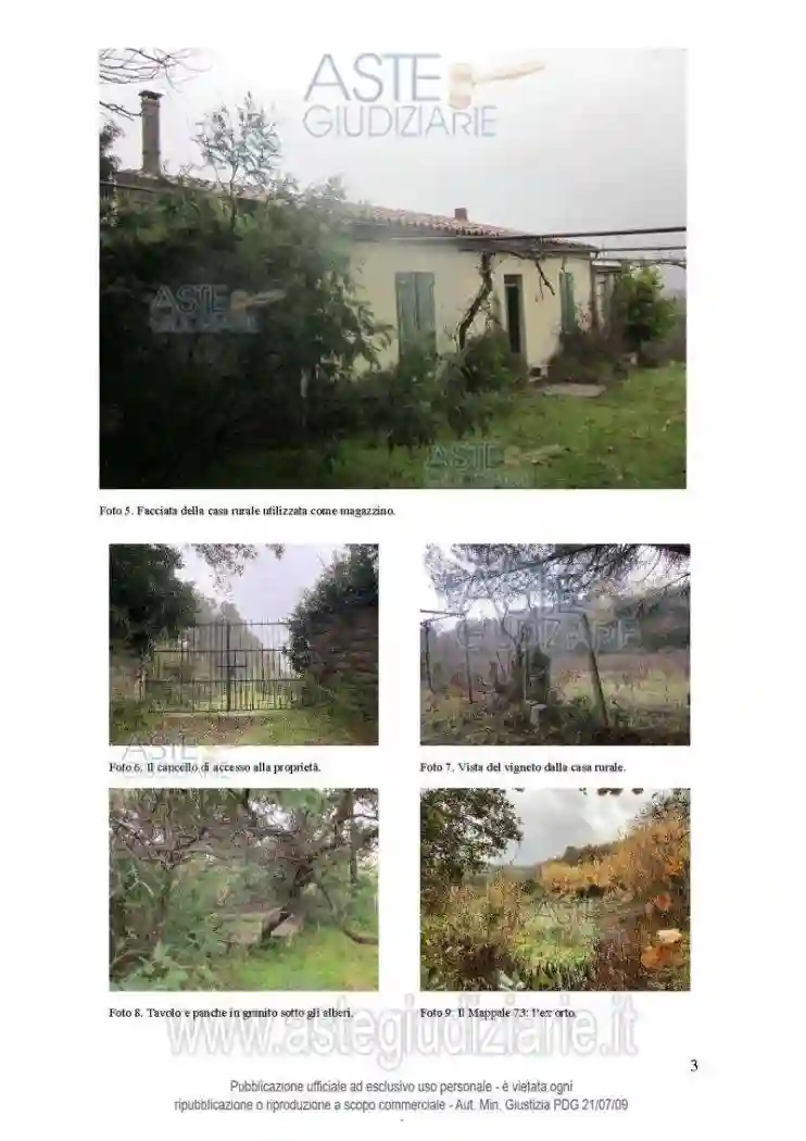 Rustico - Casale - foto 4