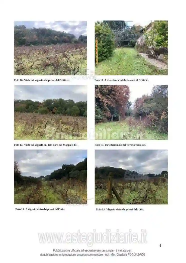 Rustico - Casale - foto 5