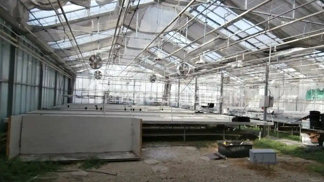 Rustico - Casale in vendita a Castenaso