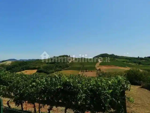 Villa in vendita a Berzano di Tortona