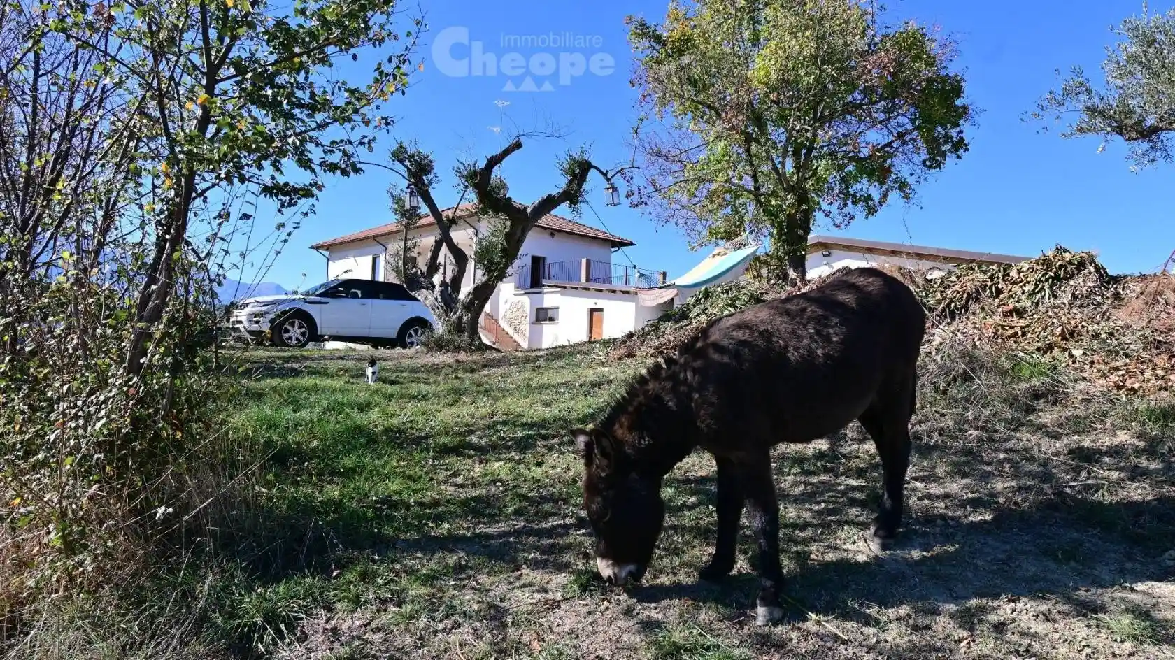 Rustico - Casale in vendita a Montefino