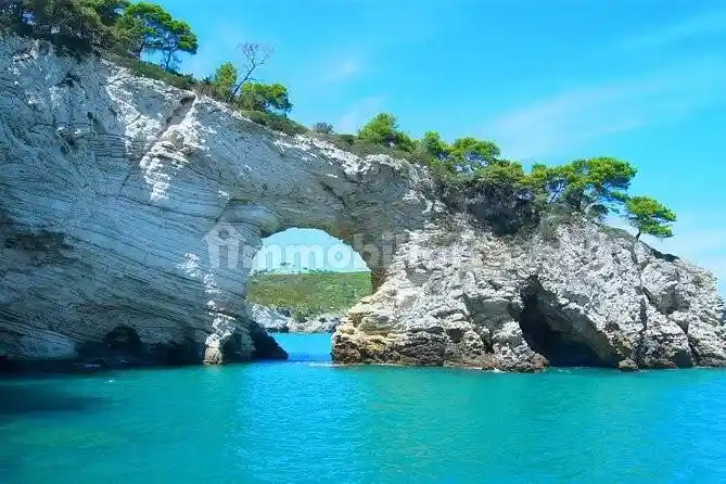 Rustico - Casale in vendita a Mattinata