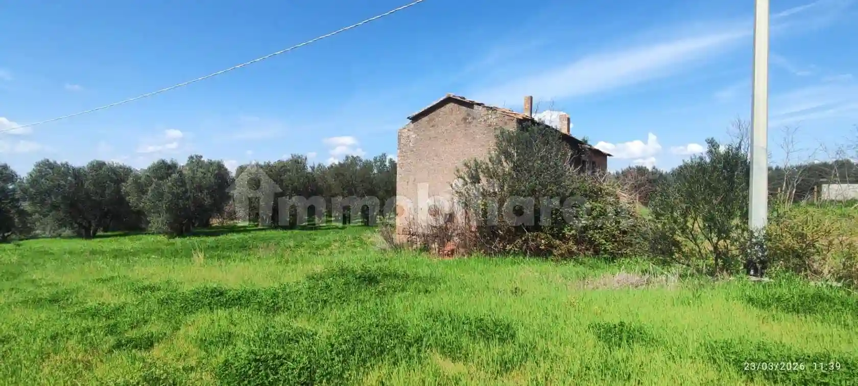 Palazzo - Edificio - foto 4