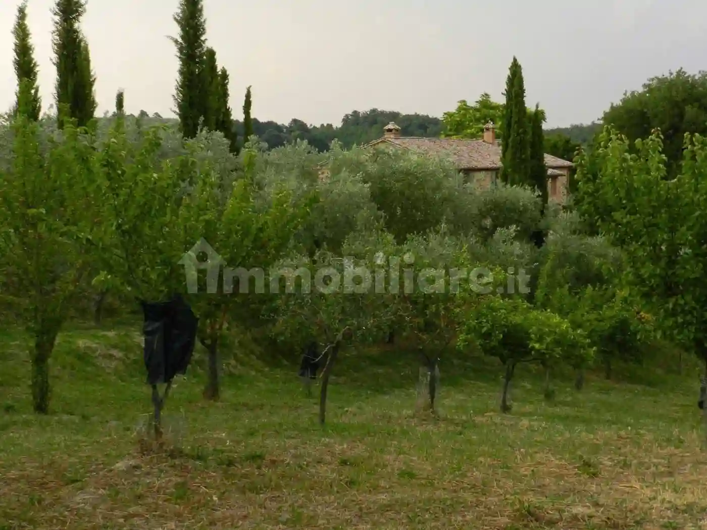 Rustico - Casale - foto 4