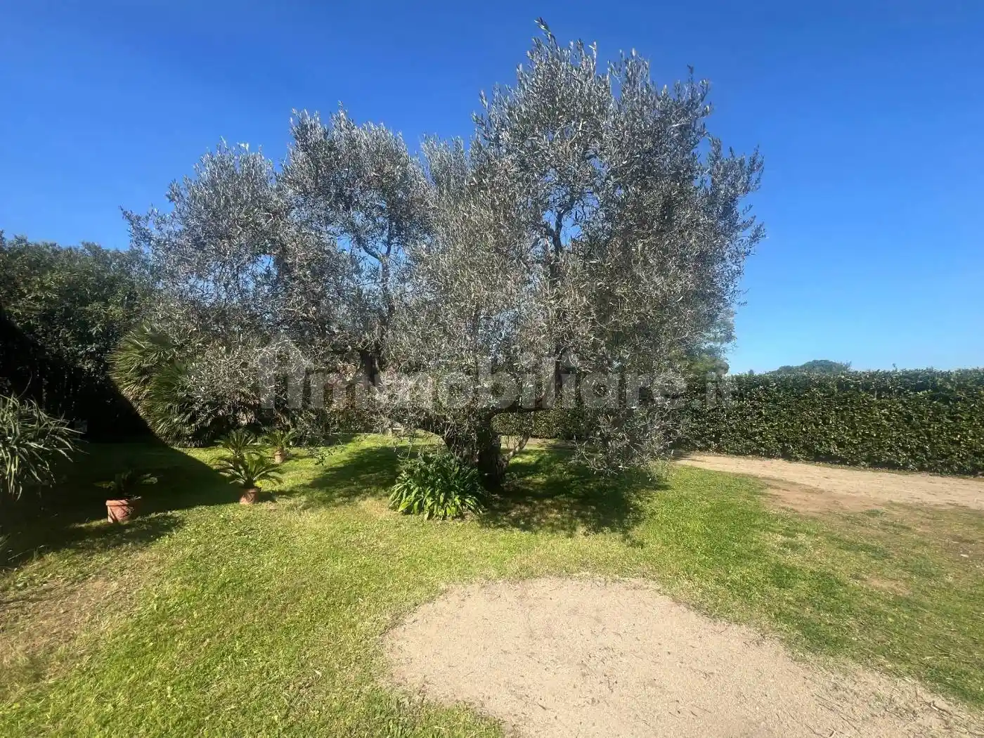 Villa in vendita a Castagneto Carducci