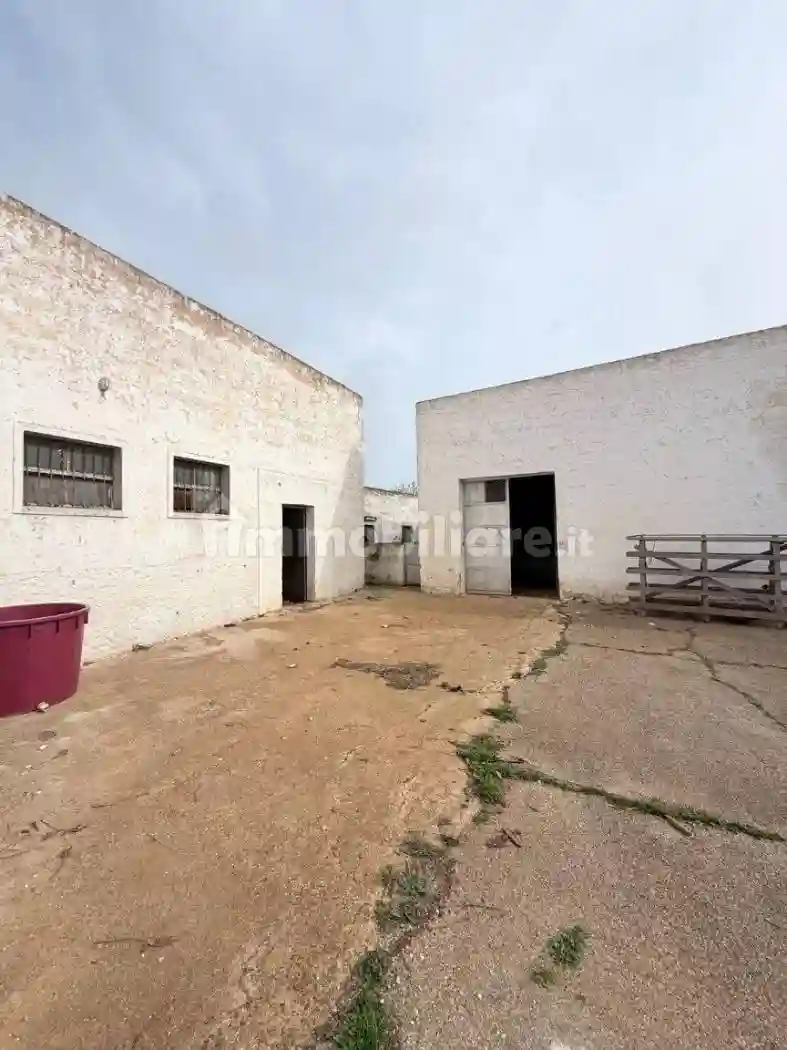 Rustico - Casale - foto 4