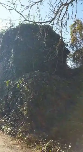 Rustico - Casale in vendita a Fabro