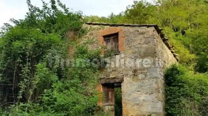 Rustico - Casale in vendita a Fabro