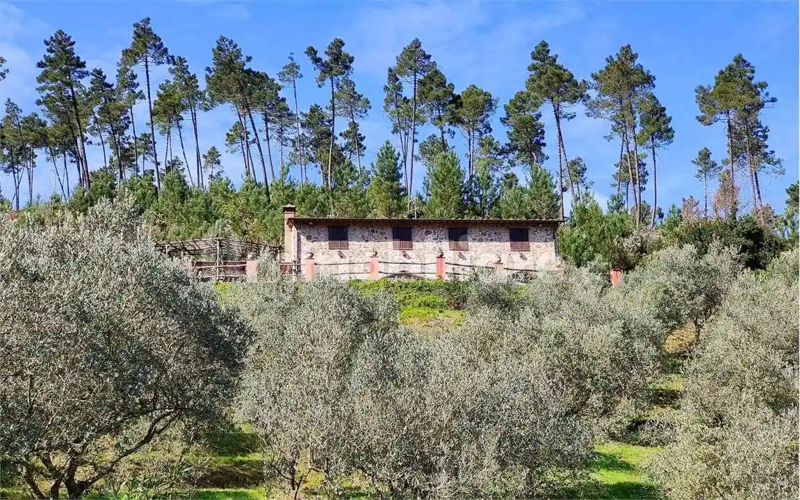 Rustico - Casale in vendita a Buti