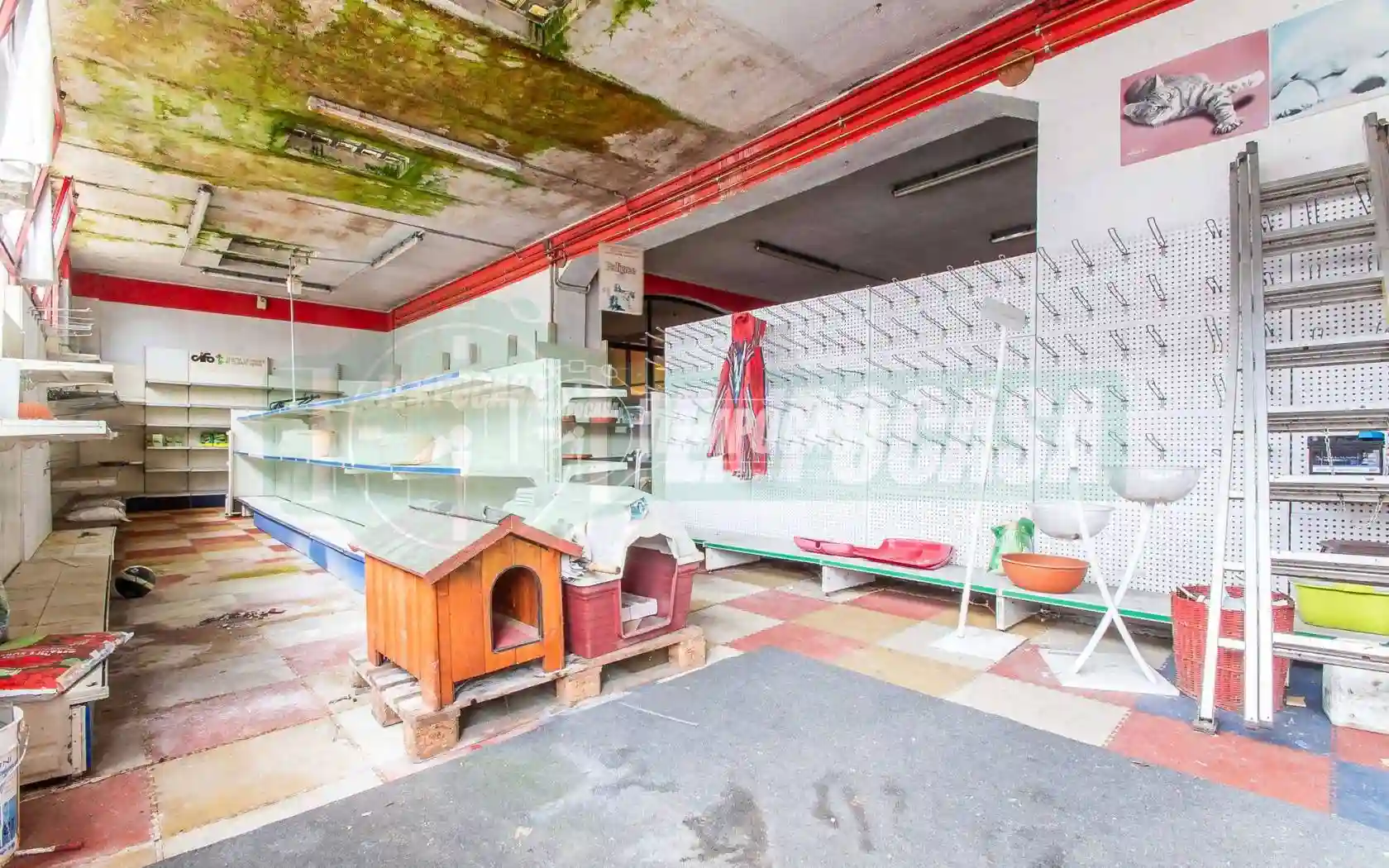 Palazzo - Edificio - foto 2