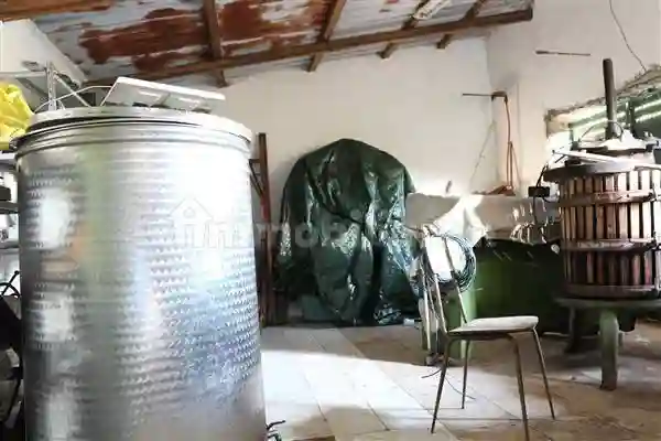 Rustico - Casale - foto 4