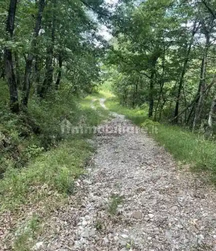 Rustico - Casale in vendita a Valsamoggia