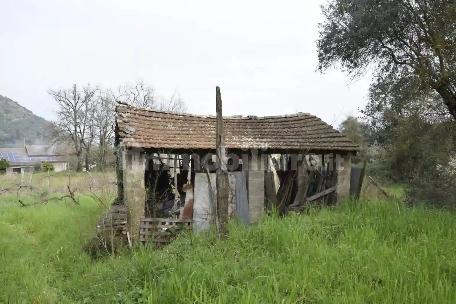 Rustico - Casale - foto 3