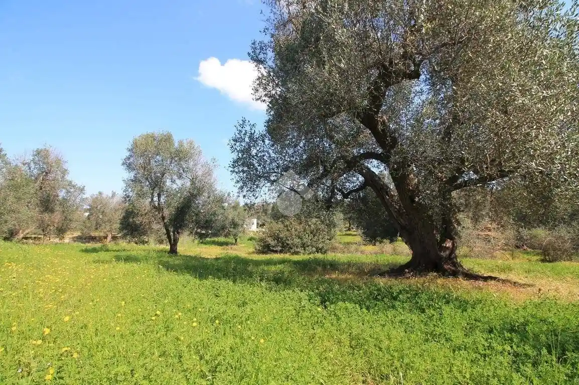 Rustico - Casale in vendita a Ostuni