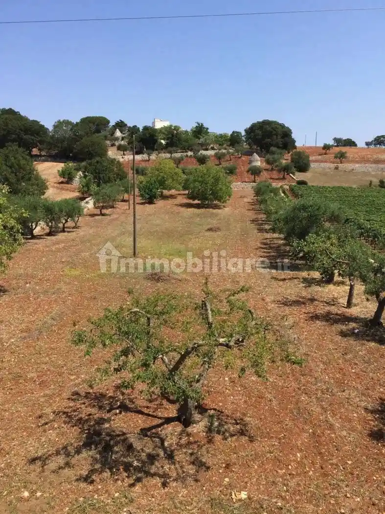 Rustico - Casale in vendita a Locorotondo