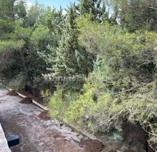 Rustico - Casale in vendita a Gravina in Puglia