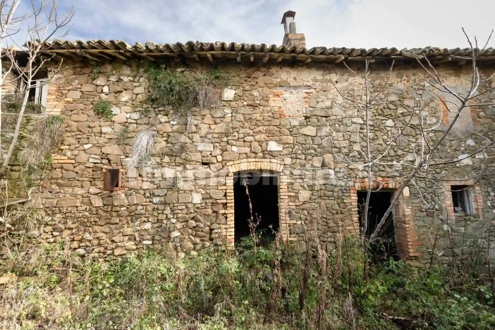 Rustico - Casale - foto 5