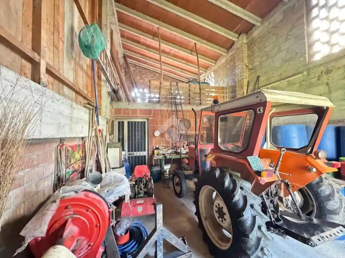 Rustico - Casale - foto 3