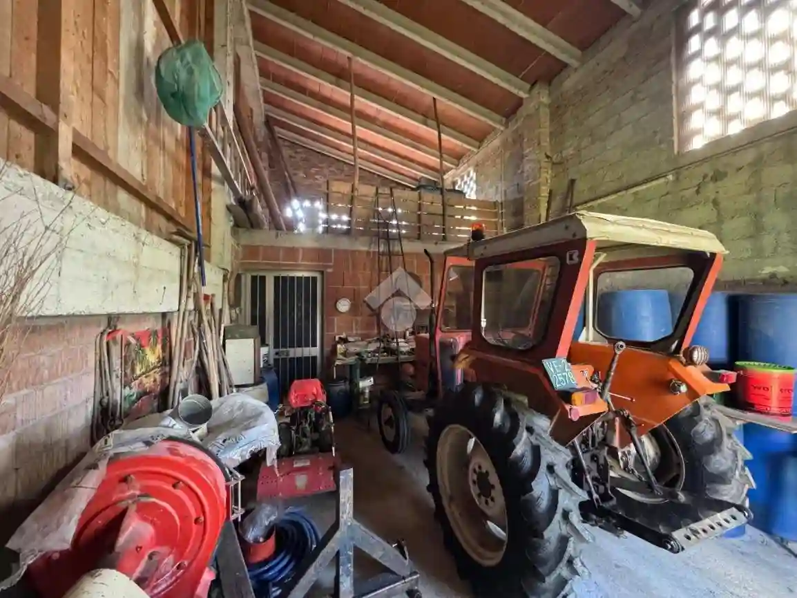 Rustico - Casale - foto 5