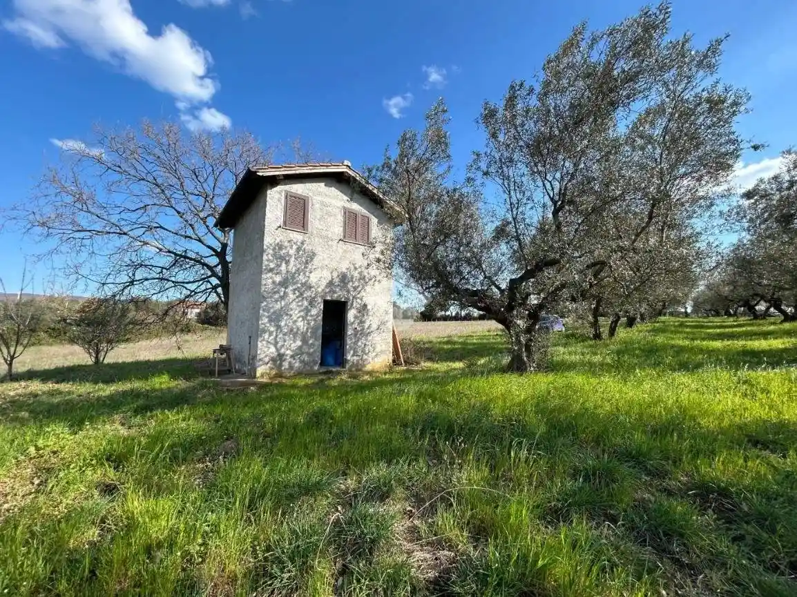 Rustico - Casale in vendita a Viterbo