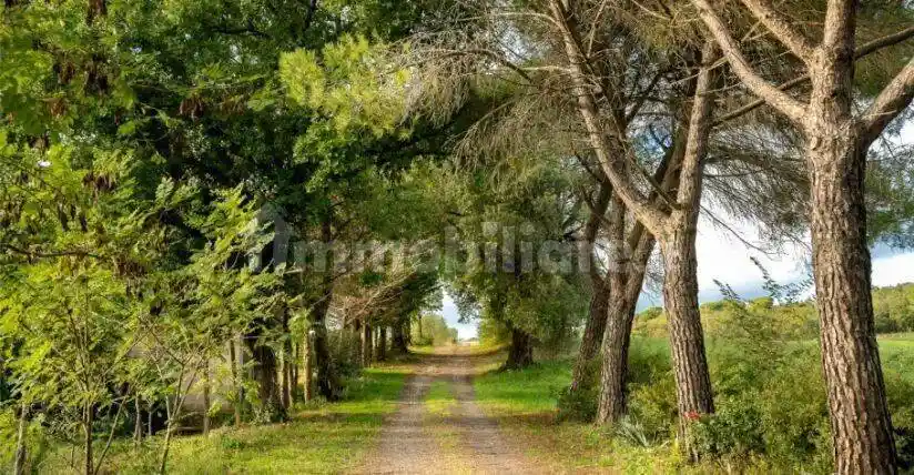 Villa in vendita a Murlo